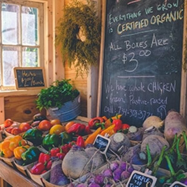 Going An Extra Mile For Organic  With Biodynamic Farming