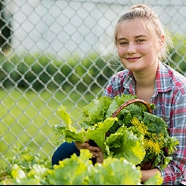 Supercharge Your Immune System  With Fresh Vegetables